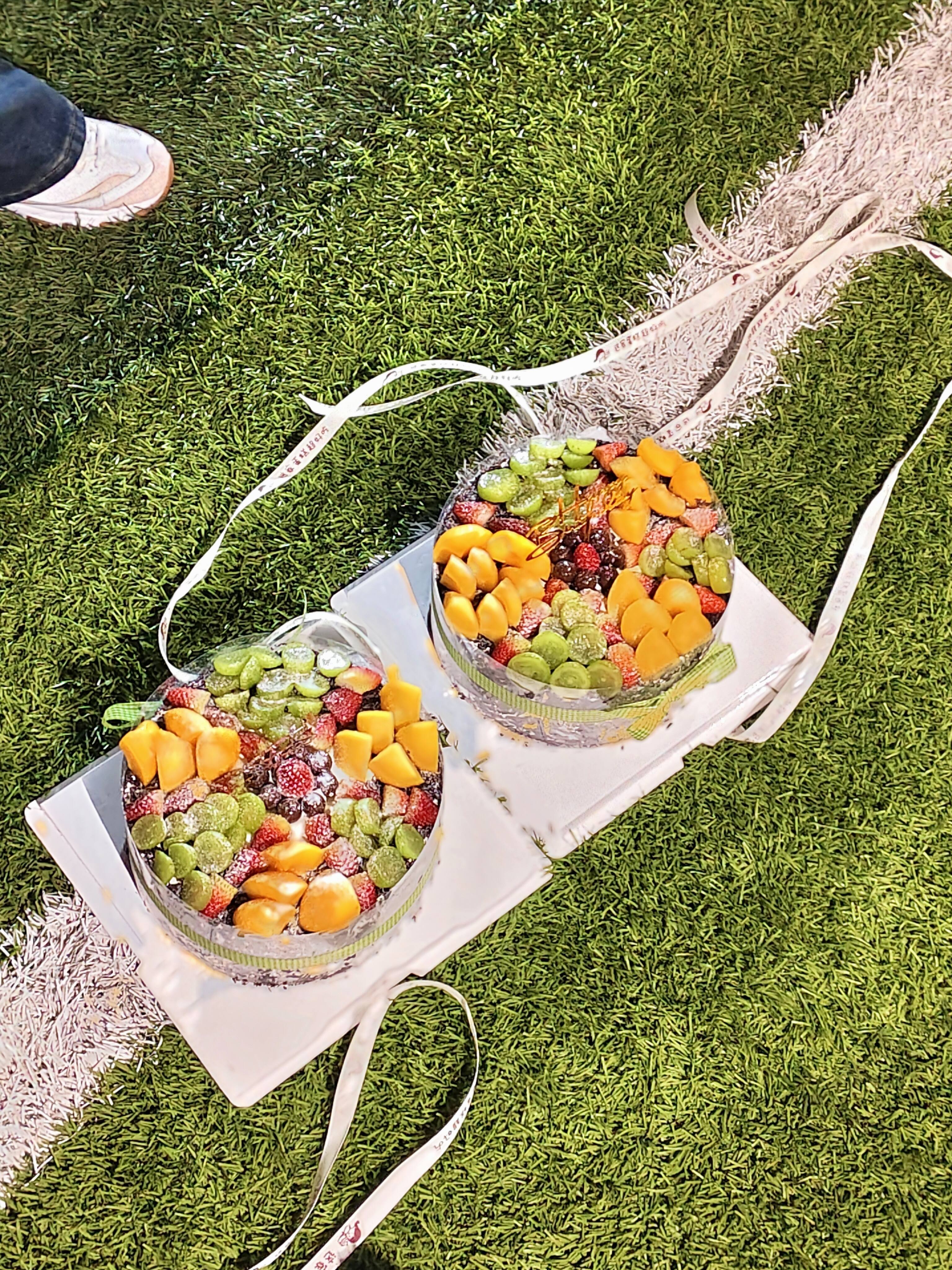 人文学部的温暖